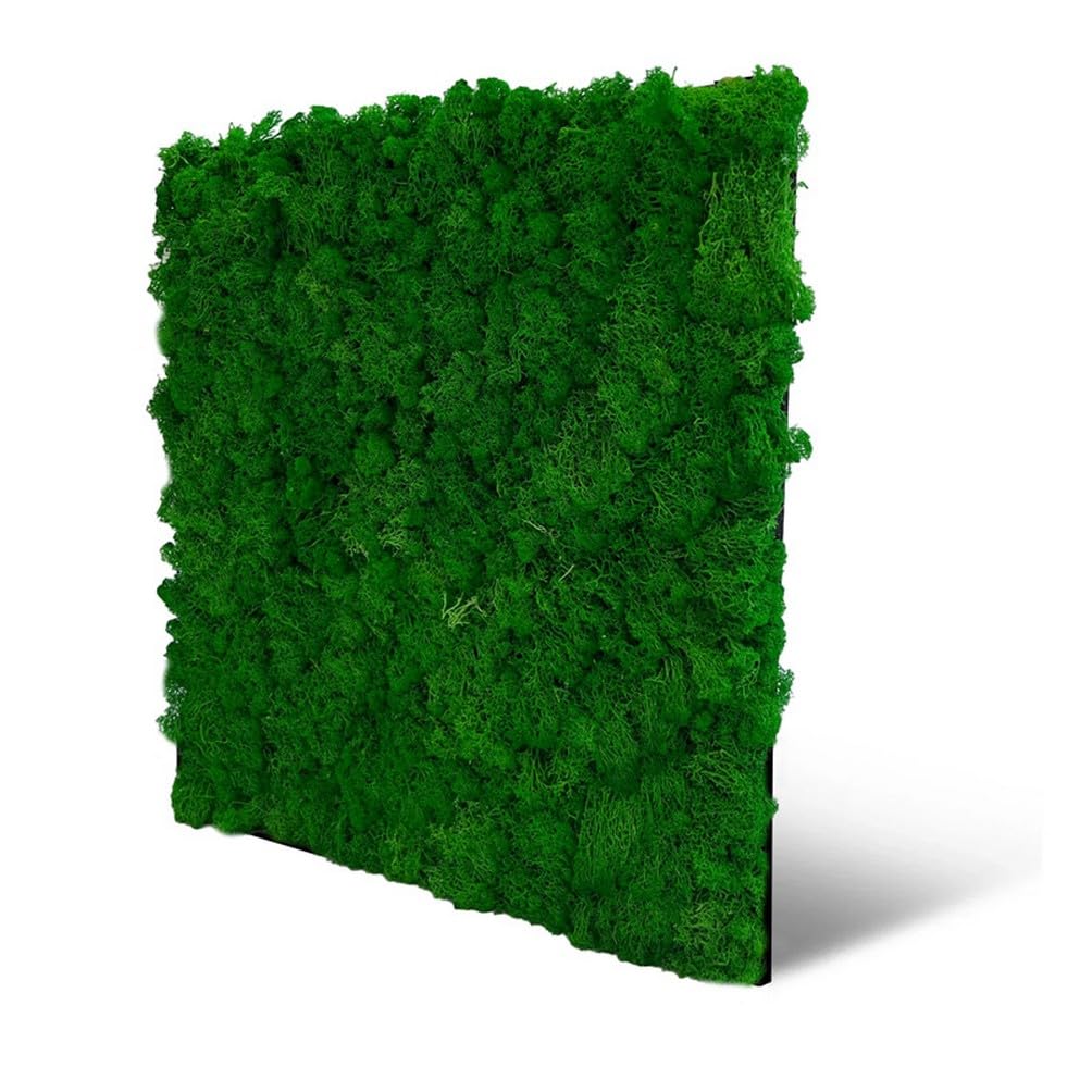 JANGAL Modular Wall Nature Moos Paneel