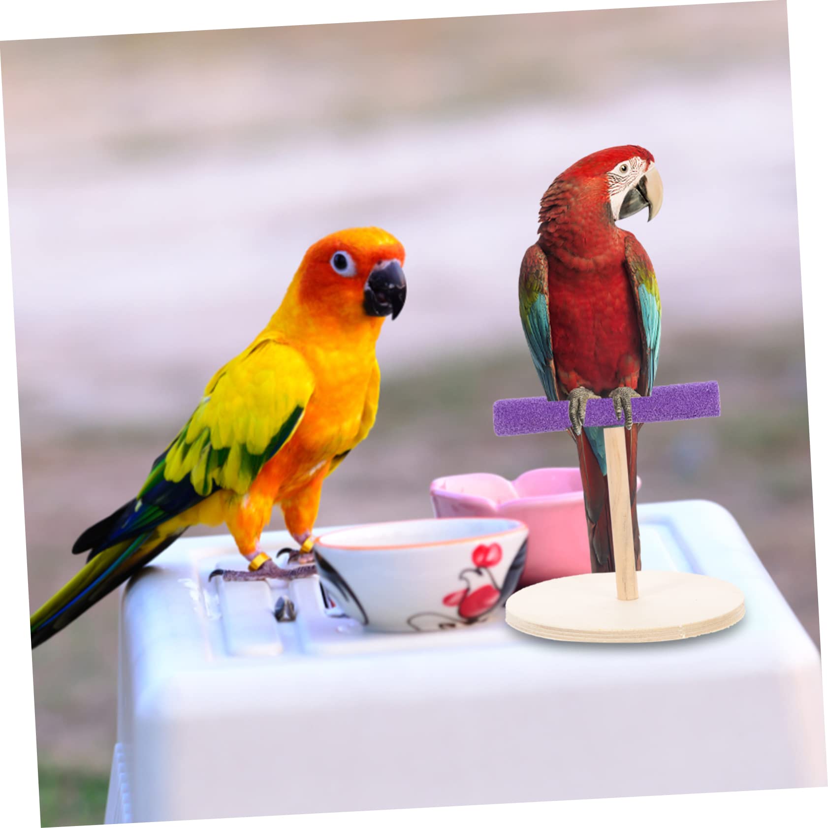 Yardwe 5pièces Perchoir pour Oiseaux Plateforme Attrayante pour Perroquets Accessoire Naturel Et Jouet Éducatif pour Oiseaux De Compagnie