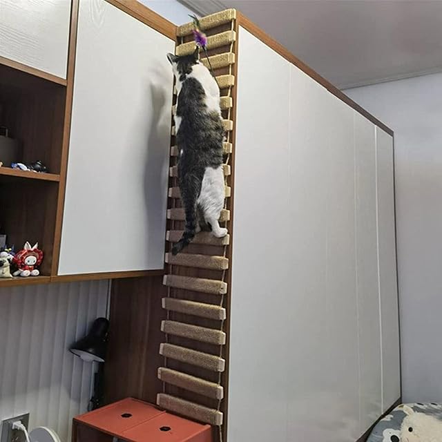 Foto 6 de 8 de Puente para Gatos de 20 Pulgadas - Marco de Escalada al Aire Libre, Escalera de Cuerda para Mascotas