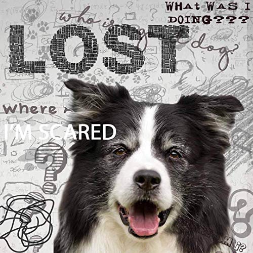 The Blissful Dog Borda-Collie Age Well Spray Aromaterapia