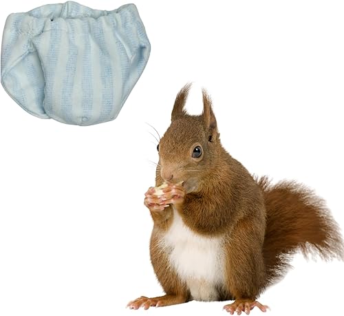 Miniatura 11 de Pañales lavables de ardilla – Pañales de tela reutilizables extra pequeños para mascotas, altamente absorbentes, a prueba de fugas, pantalones