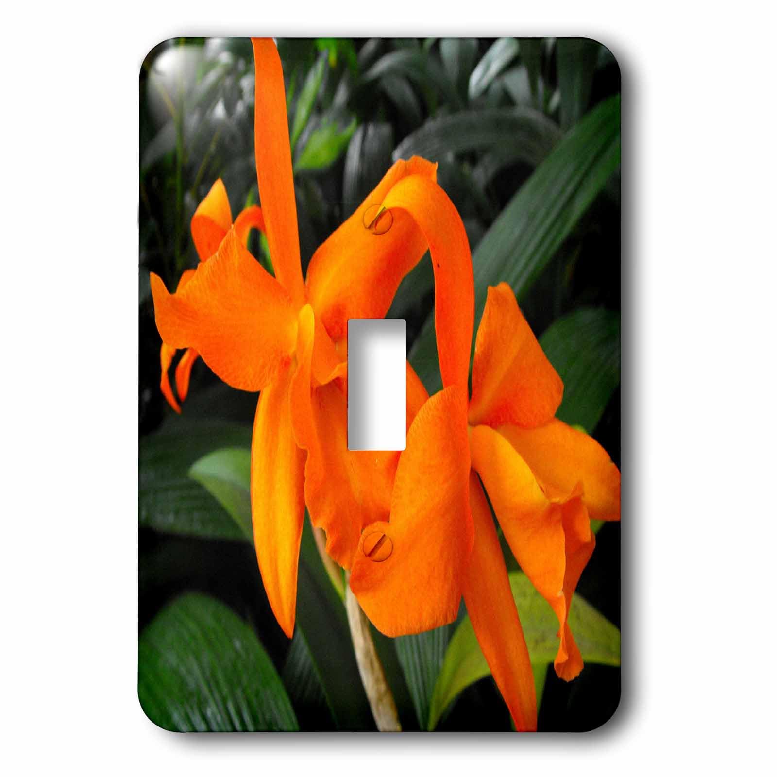Interrupteur à bascule Orchidée Cattleya Orange 3dRose Lsp_22529_1