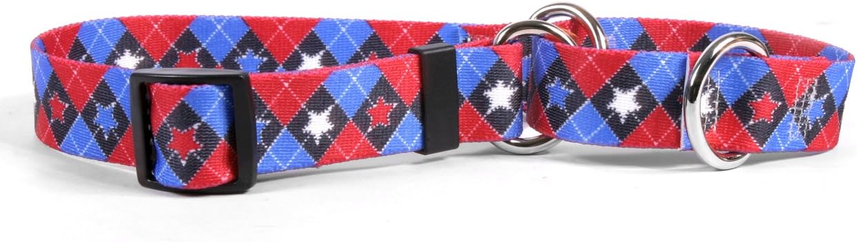 Yellow Dog Design Martingale Collar.Patriotic Paws, Medium 20"