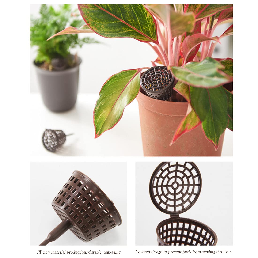 Boîte De 20 Paniers Engrais Pour Plantes Bonsaï Et Succulentes Avec Couvercles - Mini Récipients