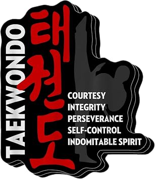 Pack of 3 5 Tenets of Taekwondo Vinyl Sticker 3 Inches