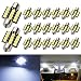 Boodled C5w 31mm(1.25”) LED Bulb 3528 12-SMD Chipsets Xenon White Festoon Interior Dome Map Trunk Cargo LED Bulbs Lights DE3175 DE3021 DE3022 3175,6000K~6500K,DC12V(Pack of 20)