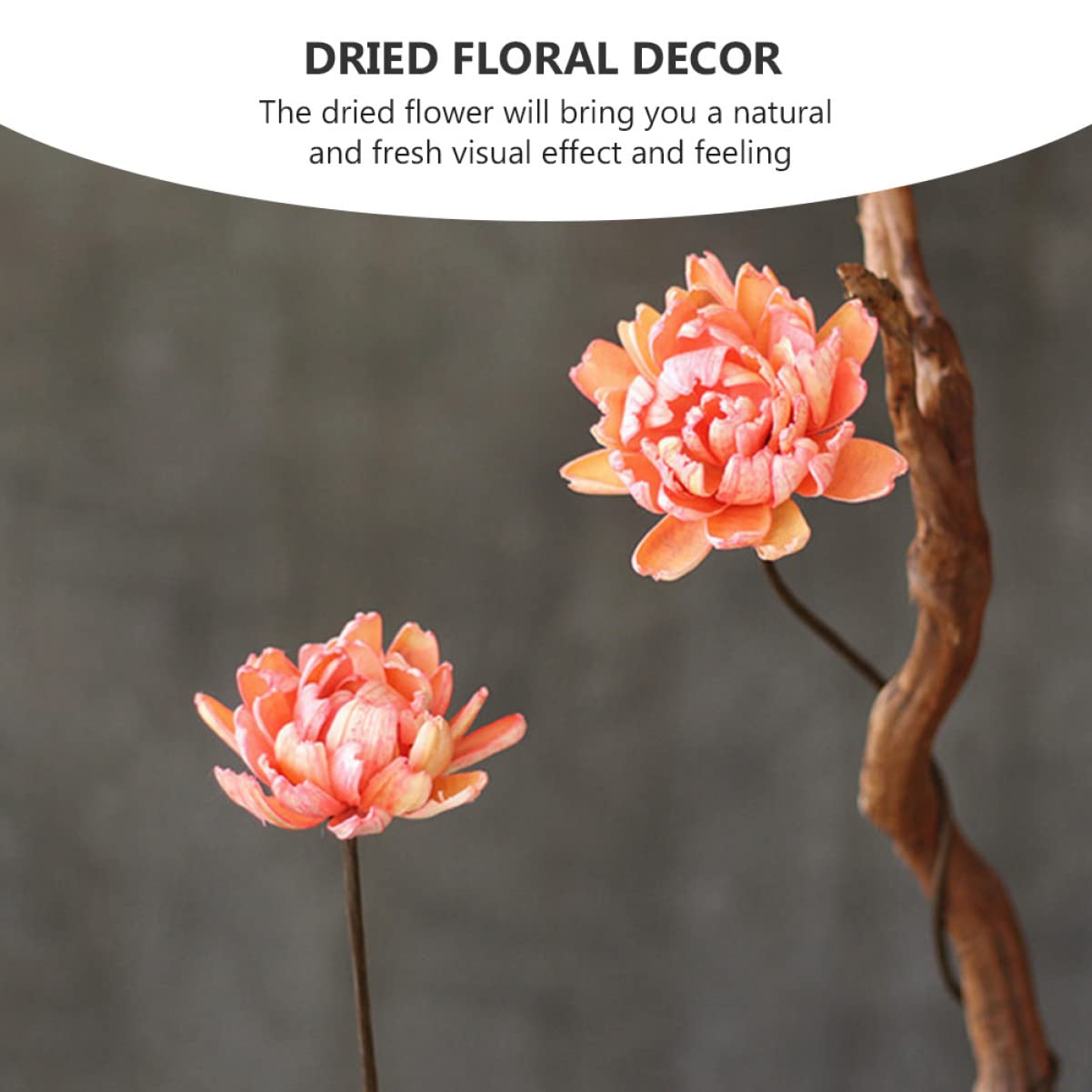 Alipis 6pièces Bouquet Décoratif Naturel Séché De Fleurs Préservées pour Décoration Intérieure Artisanat Ambiance Naturelle pour Maison Et Événements