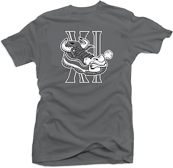 SNELOS Shirt to Match Sneaker Jordan 11 Cool Grey Match Jordan Tee