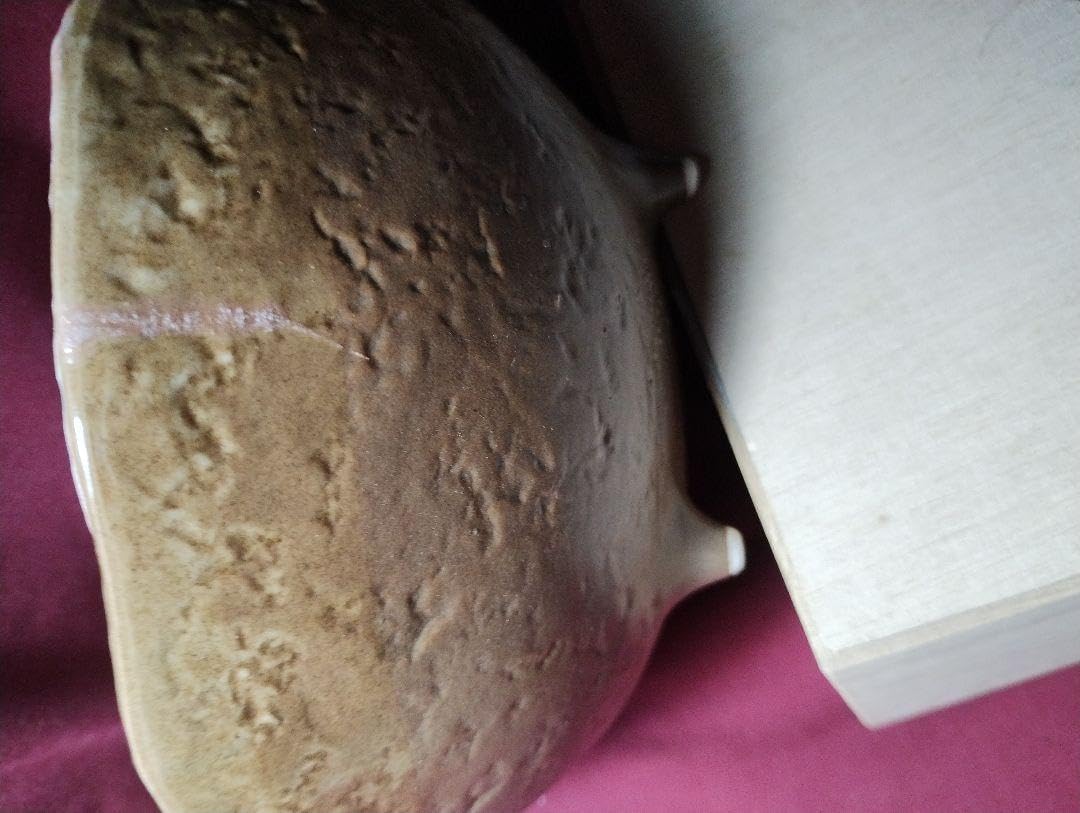 盛鉢 桜模様 陶器