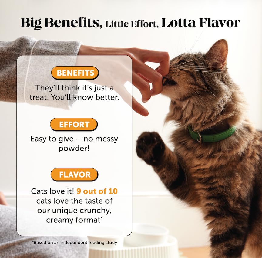 Image of Cat Immune Support Lysine - Allergy Relief & Immune Health Supplement for Cats with L-Lysine, Colostrum, Quercetin & Omega-3 - Soothes Sneezing, Runny Nose & Itchy Skin Chicken, (90-Day Supply)