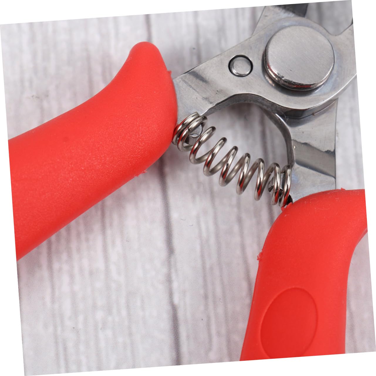 FRCOLOR 3pezzi Professionale Di Forbicine Per Cuticole Acciaio Inossidabile Utensile Da Manicure e Pedicure Per Unghie Incarnite e Delle Cuticole Per Uso Domestico e Saloni Professionali