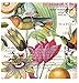 Michel Design Works 20-Count 3-Ply Paper Cocktail Napkins, Neroli