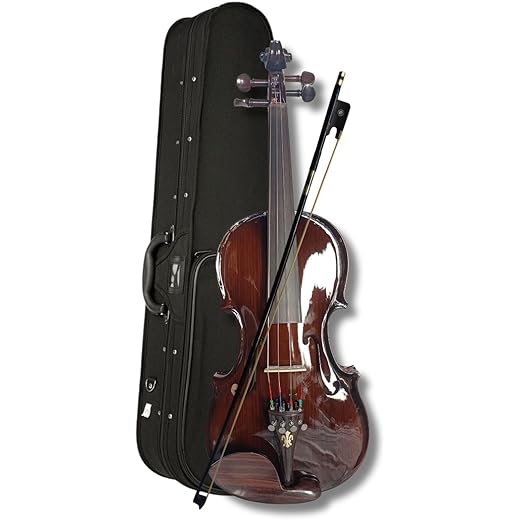 Musical Works Violin with Accessories