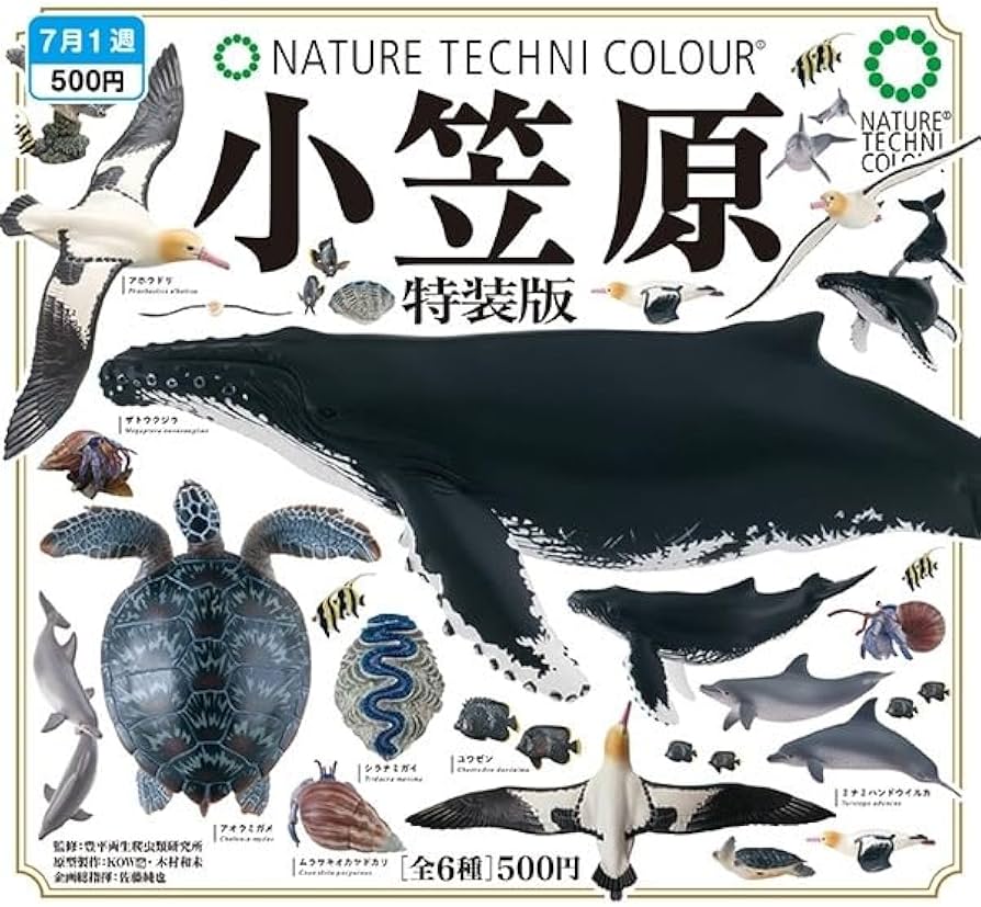 Amazon | NTC ネイチャーテクニカラー 小笠原 特装版 全6種セット