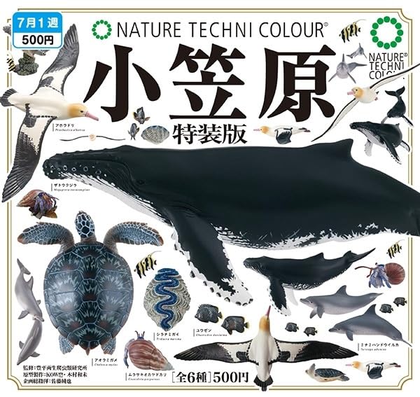 【超激レア・絶版品 ネイチャーテクニカラー 小笠原 ガチャ 全8種類】 Amazon | NTC ネイチャーテクニカラー 小笠原 特装版 全6種セット