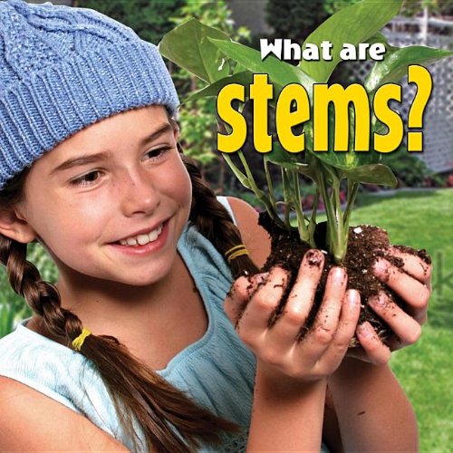 What Are Stems? (Plants Close-Up)