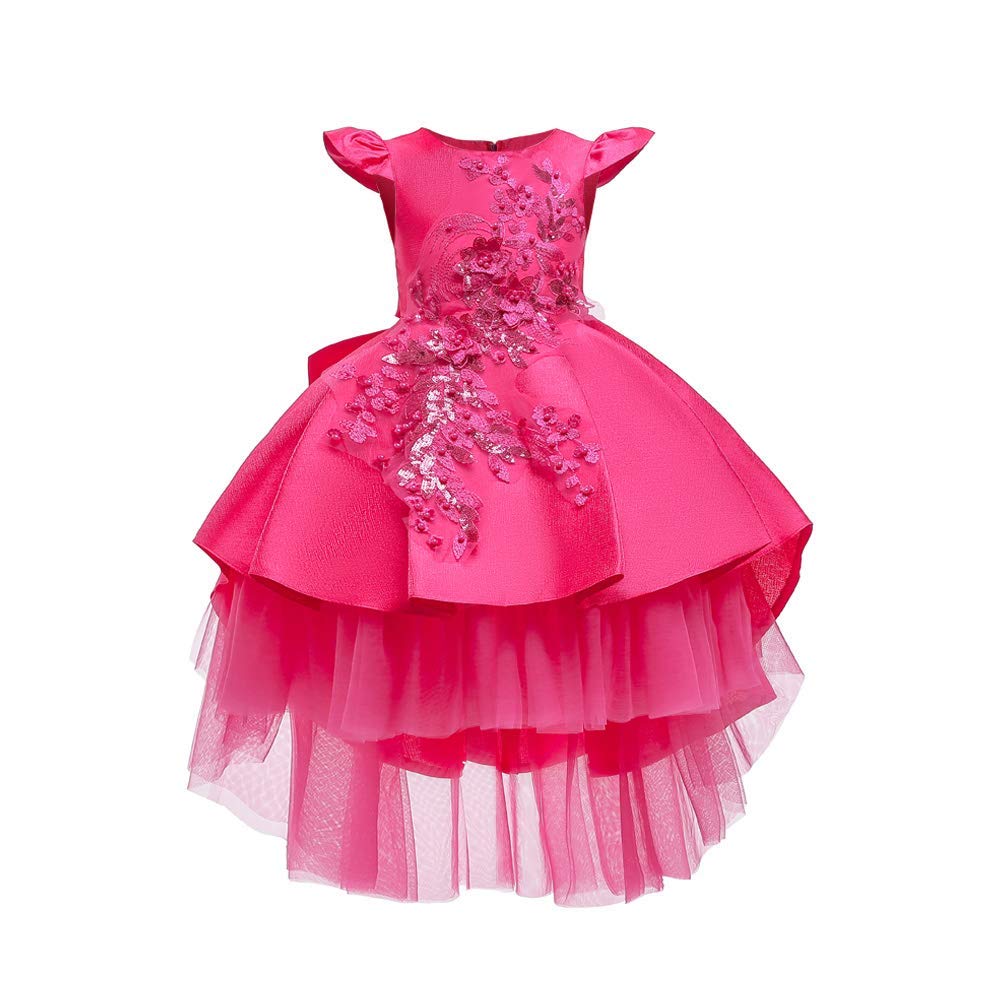 Flower Girl Vintage Embroidery High-Low Lace Floral Dress for Kids Princess Birthday Wedding Bridesmaid Evening Formal Pageant A Line Birthday Party Maxi Ball Gown Dresses Hot Pink 2-3 Years