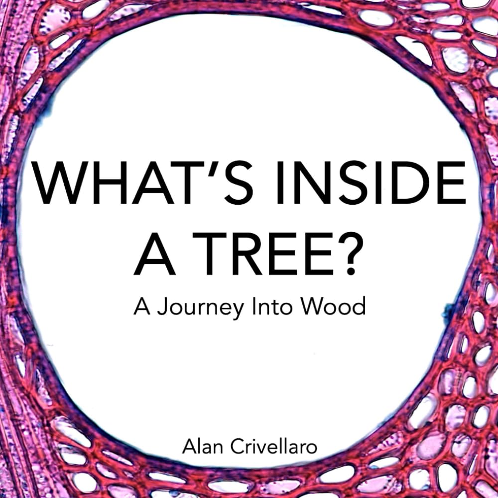 WHAT'S INSIDE A TREE?: A Journey Into Wood
