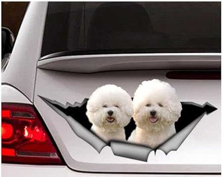 Amazon Co Jp 車 ステッカー 2pcs 10cmビションフリーゼカーデカール ビションフリーゼステッカー ペットデカール 犬用デカール 車用デカール 面白いデカール ラップトップデカール 3dステッカー 車 バイク Amazon Co Jp 車 ステッカー 2pcs 10cmビションフリーゼカーデカール ビションフリーゼステッカー ペットデカール 犬用デカール 車用デカール 面白いデカール ラップトップデカール 3dステッカー 車 バイク