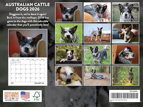 Vista 354 de Calendario Goldendoodle 2026 Golden Doodle mensual de pared calendario de 12 meses Fabricado en Estados Unidos