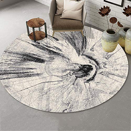 Qud DT - Alfombra redonda para suelo nórdico, moderna, minimalista, para estudio, balcón, dormitorio, 10/29 (color: T, tamaño: 80 cm)