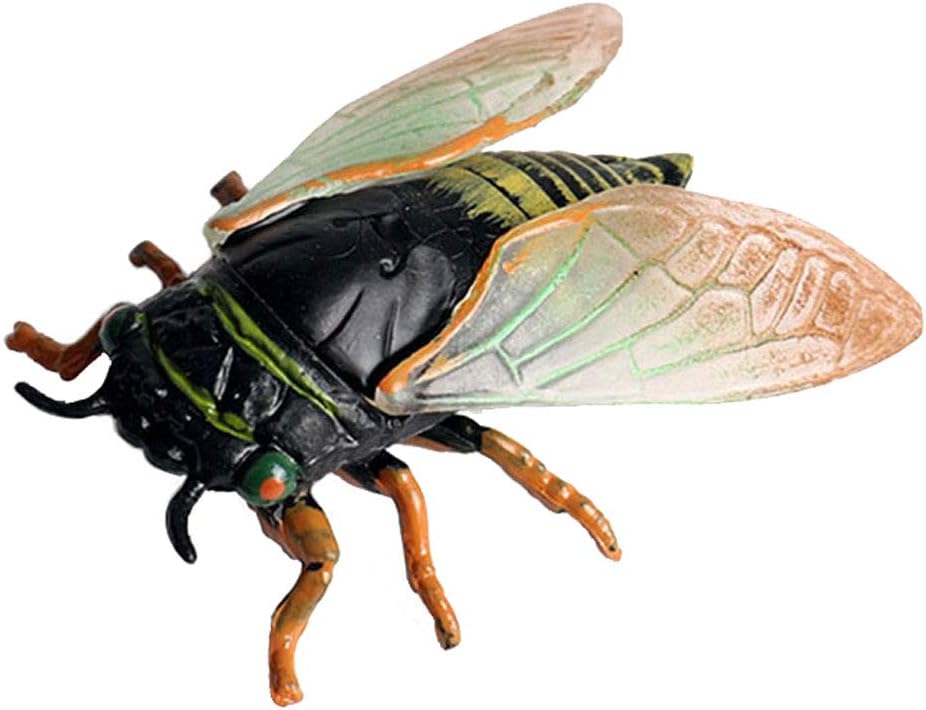 Amazon.com: Flormoon Realistic Animal Figures Cicada Figurines Insect ...