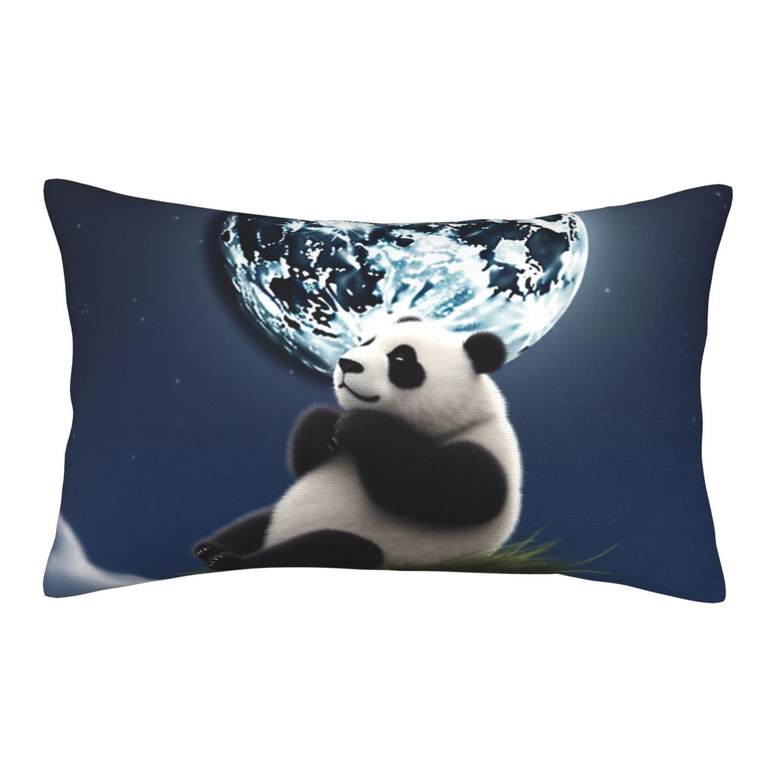 Velvet Pillowcases 20"x30" Ultra Soft Breathable Pillow Cases, Luxury Fuzzy Throw Pillow Covers with Zipper, Panda and Moon Pillow Shams All Seasons Decorative Cushion Cases for Couch