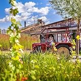 Karls Bauernhof (Original Theme-Soundtrack aus Karls Erlebnis-Dörfer)