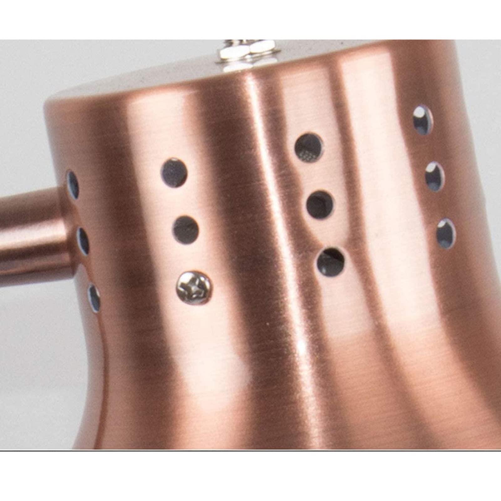 Lampada riscaldante per Alimenti a infrarossi scaldavivande Lampada riscaldante per Alimenti a Buffet luci da Cucina lampadine riscaldanti per Alimenti,Doppia Testa