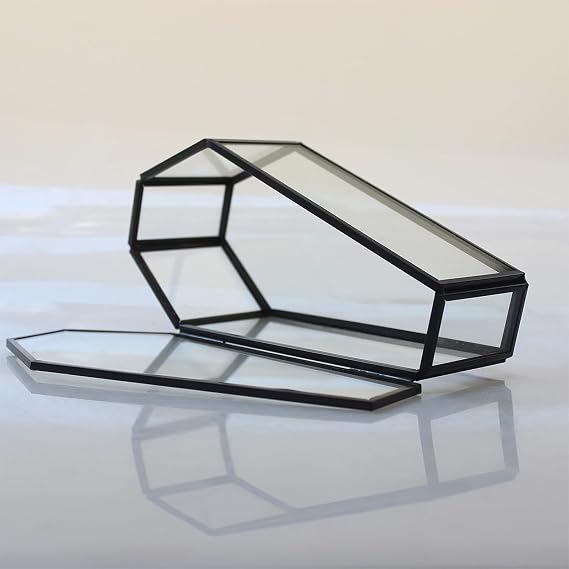 Multifunctional Display Box Eye Catching Glass Coffin Shaped Display Case for Halloween Party Decorations