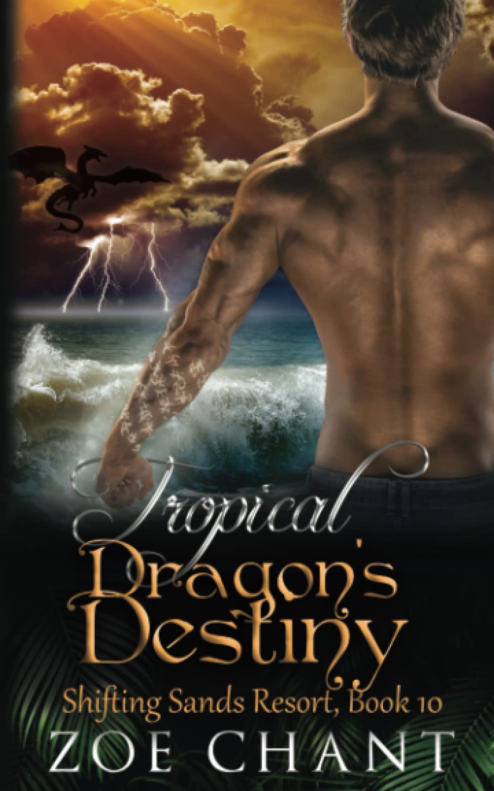 Cover of Tropical Dragon's Destiny