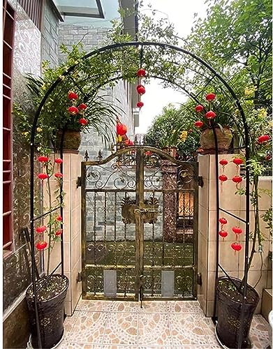 Arche de jardin en métal robuste support de roses et ballons pour décoration extérieure
