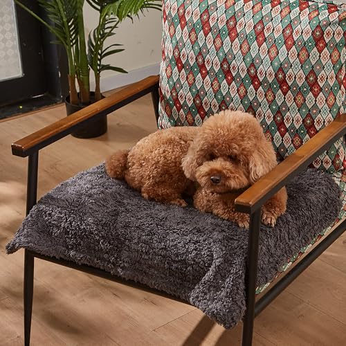 Pawsee Wasserdicht Hundedecke Katzendecken Waschbar, wasserdichte Decke für Unterwegs Hundesofa Schutzdecke Sofa Überwurf, Flauschig Hundedecke für Miniaturhunde Kleine Hunde Katzen,XS 75 x 60cm