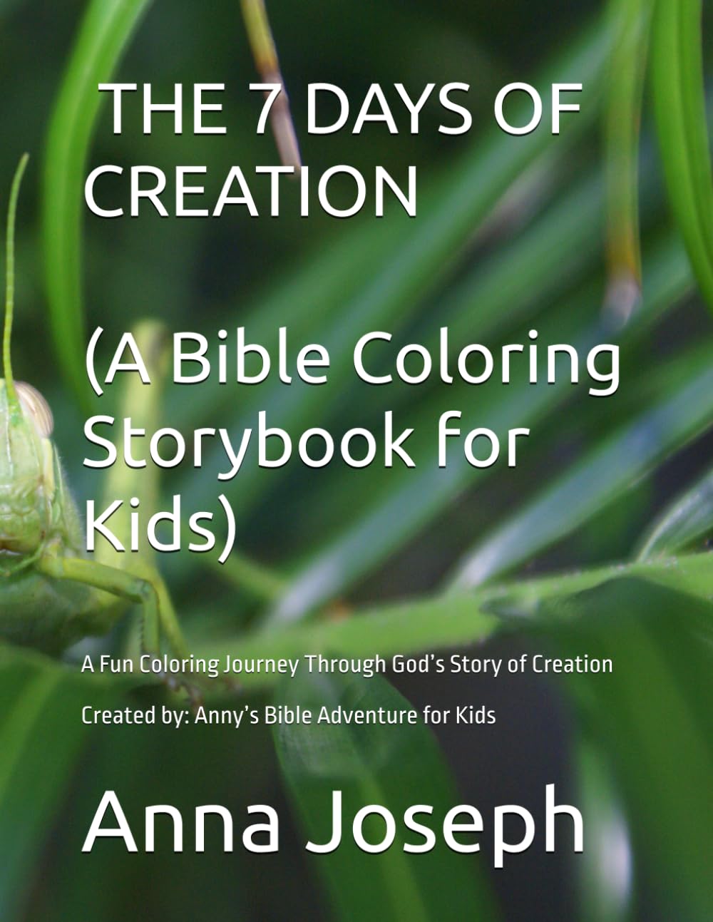 Anny's Bible Adventure for Kids: 7 Days of Creation Coloring Book