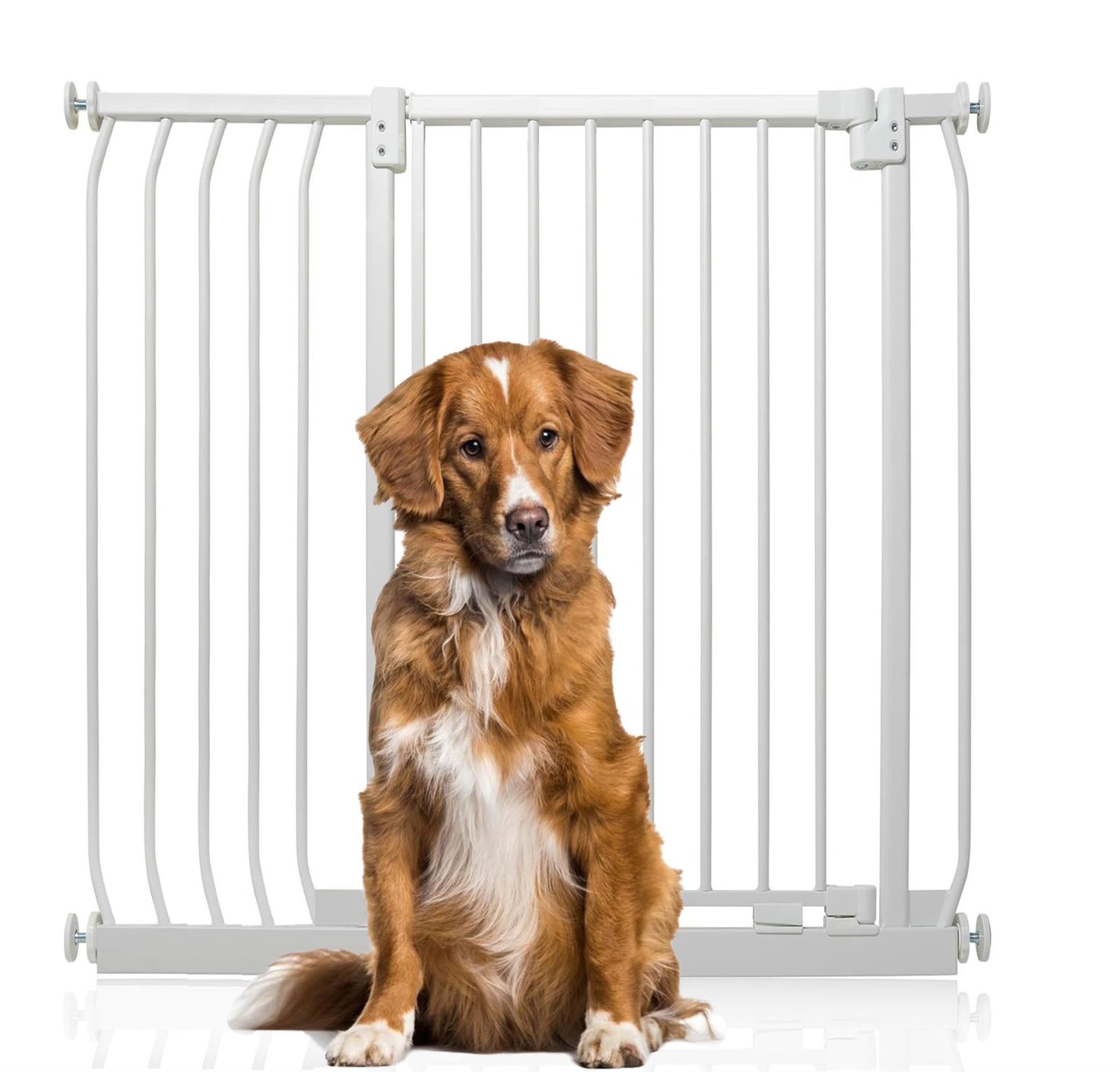 Bettacare White Extra Tall Elite Dog Gate, 98Cm - 107Cm, Matt Extra Tall 100Cm In Height, Pressure Fit Pet Gate For Dog And Puppy, Pet And Dog Barrier, Easy Installation