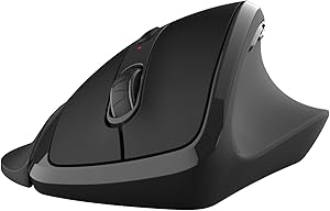 Wireless Ergonomic Mouse Right Hand (Medium)
