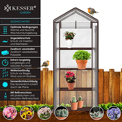 KESSER® Premium Foliengewächshaus Gewächshaus mit 4 Etagen - 69 x 50 x 158 cm Treibhaus mit 4 Regalen - Platzsparend, Hochwertiges Anzuchthaus Garten Balkon Stabil & Einfach zu Montieren – Bild 5