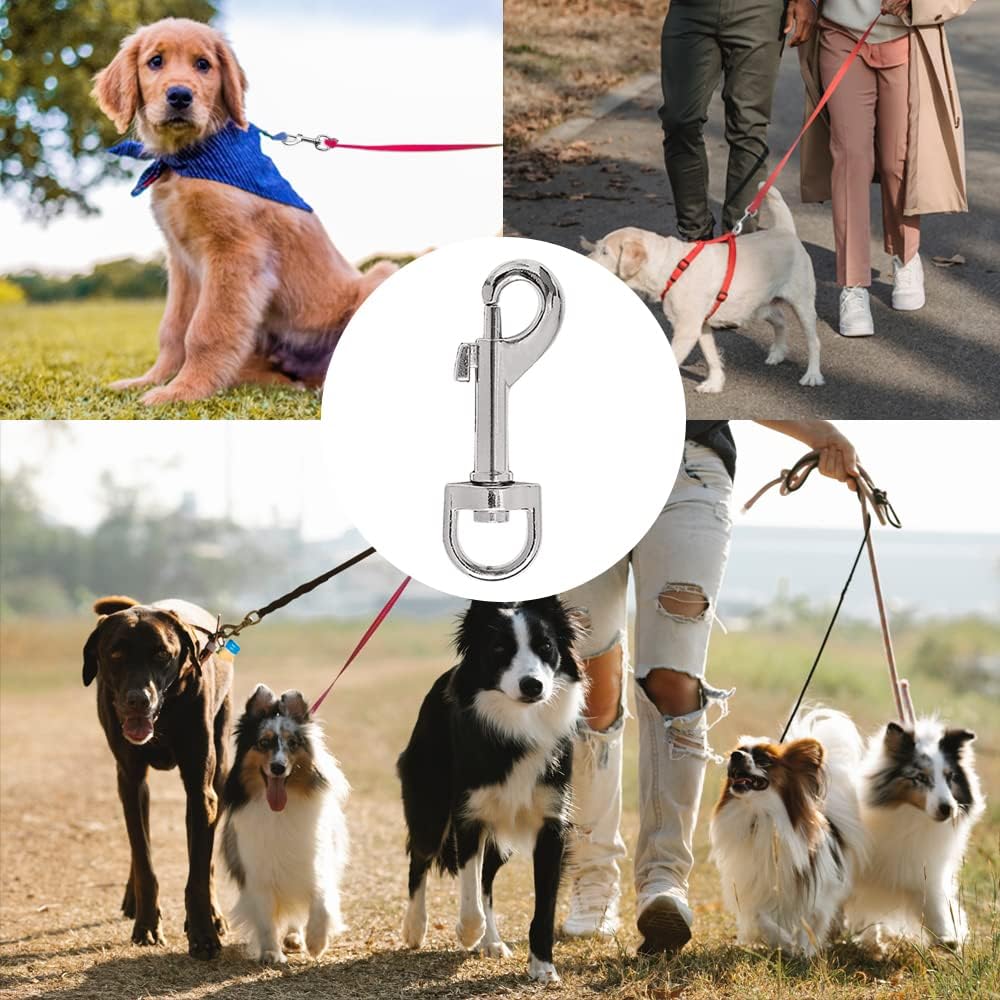 10 pièces Mousqueton 51 mm Ensemble de Collier avec Crochets pivotants, mousquetons pivotants et Clips d'animaux - en Alliage de Zinc pour Chiens et Animaux de Compagnie.