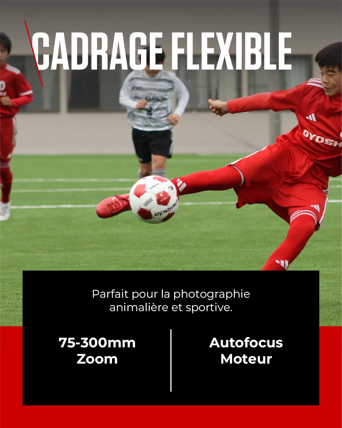 Objectif Canon RF 75-300mm F4-5.6 Téléobjectif Zoom pour Photographie Animalière Sportive Moteur AF Traitement Super Spectra Compatible EOS R