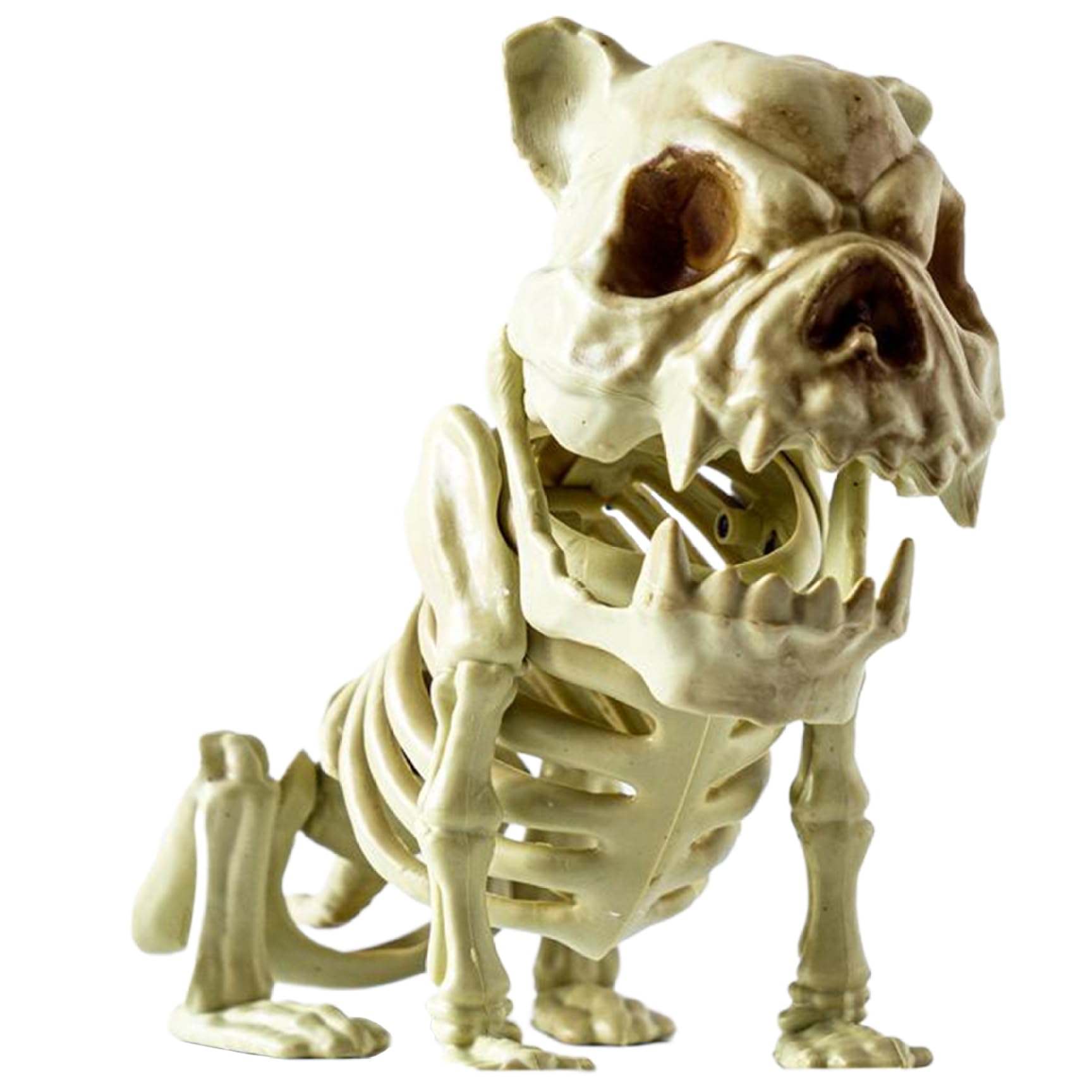 Striegro Skeleton Dog 1 Pack, Adjustable, Halloween Decor, 7.9in..