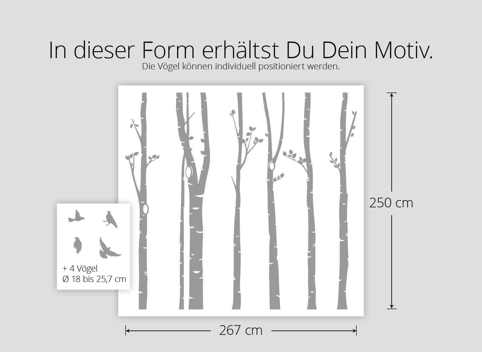Wandtattoo XXL Birkenstämme I schwarz (BxH) 267 x 250 cm I Birke Vögel Bäume Blätter Tieren Flur Aufkleber Wohnzimmer Wandsticker Wandaufkleber W3327
