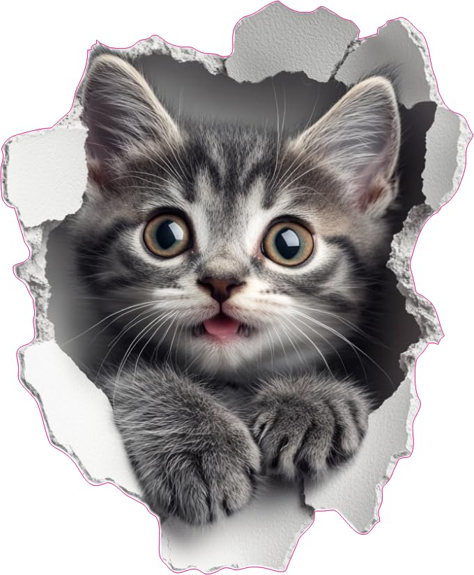 x4 Savannah Kitten Vinyl Stickers Cover Marks Non Transparent Waterproof Decals 1@20cm Tall & 3@7cm Tall Ideal for Toilet Car Phone case