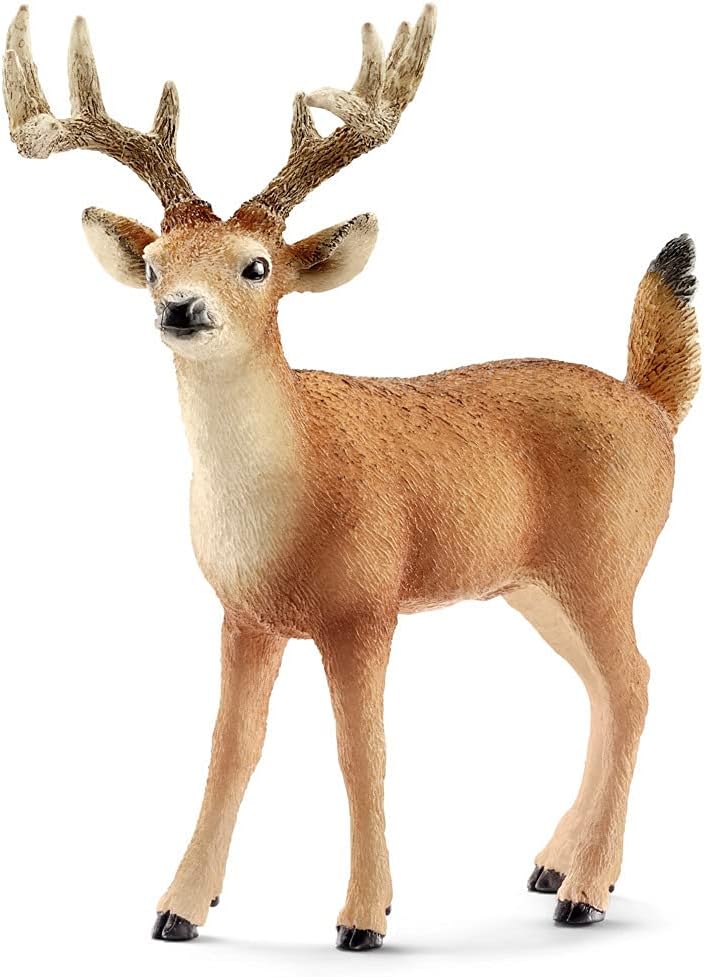 Schleich 14253 Deer White Tailed Buck Toy Figure Wild Life Animals