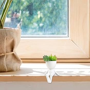 Amazon.co.jp: 観葉植物用フィギュアプランター、フィギュア