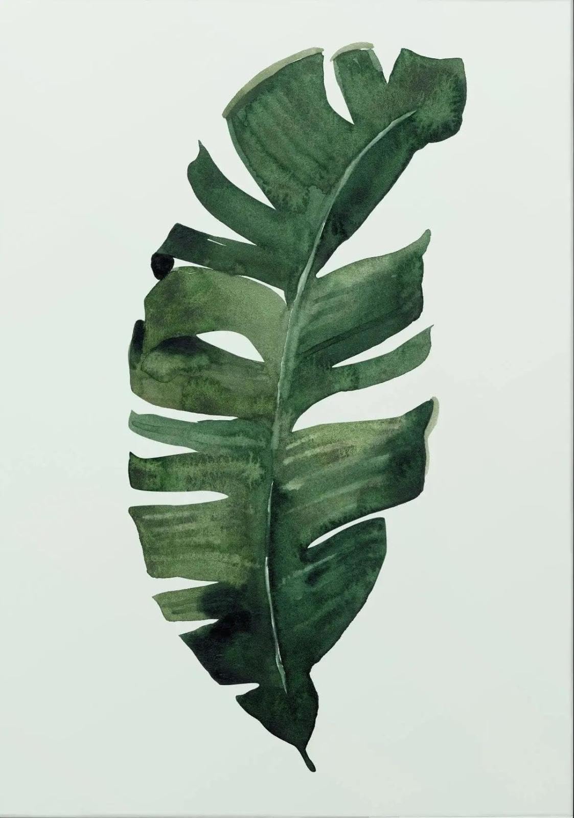 Baibexing Minimalist Tropical Leaf Digital Nature Canvas Painting Posters Prints Wall Art For Living Room Home Decor A5 30X40Cm Unframed