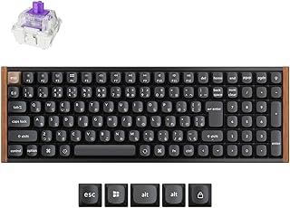【国内正規品】Keychron K4 HE QMK ワイヤレスゲーミングカスタムメカニカルキーボード JISレイアウト 2.4GHz/Bluetooth/有線対応/96%配列/ホットスワップ対応/プログラマブル/RGBバックライト/Gateron磁気スイッチ/Mac・Windows兼用/アルミ＋ウッドフレーム ブラック