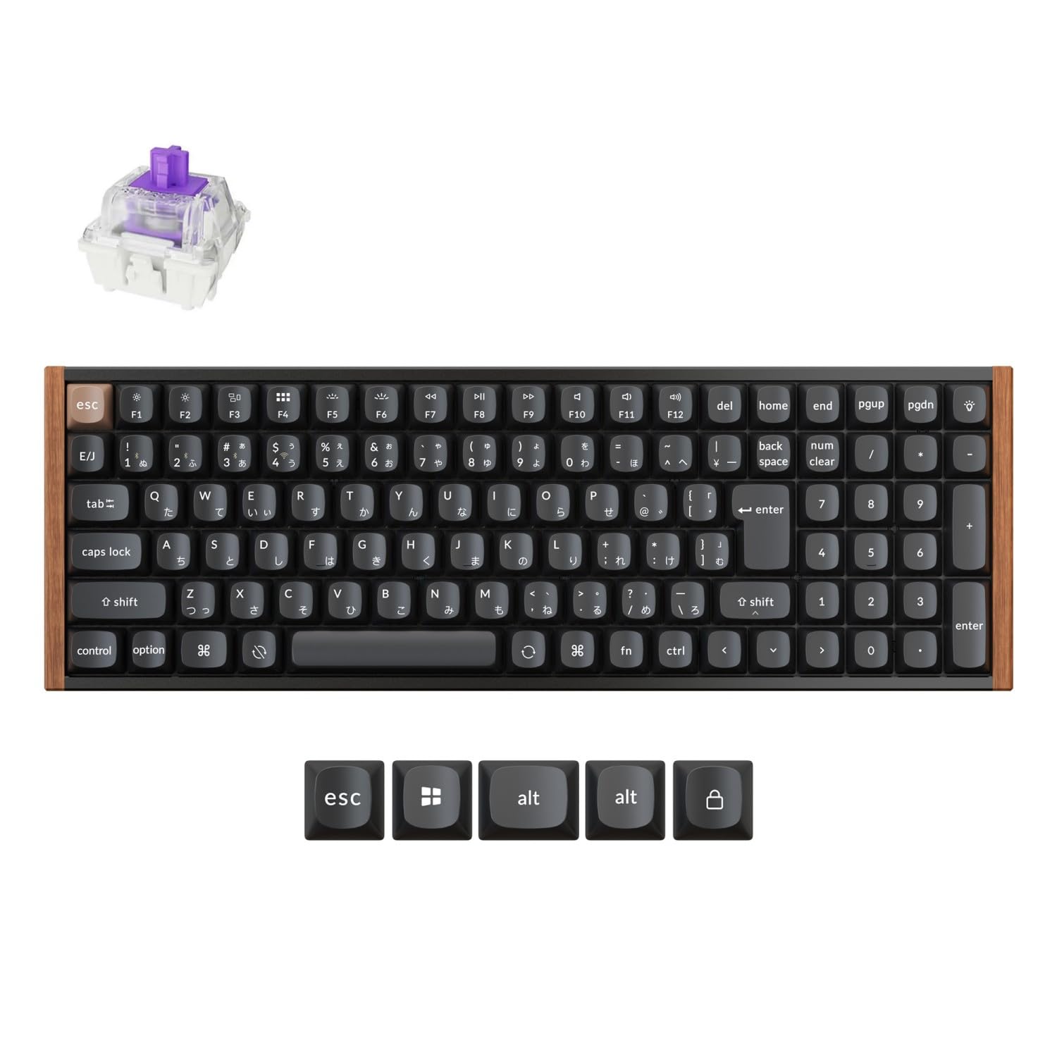 国内正規品【Keychron】K4 HE QMK メカニカルキーボード Amazon | 【国内正規品】Keychron K4 HE QMK ワイヤレスゲーミング