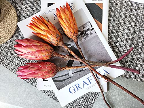 4 Pcs Dried Protea Flowers，Natural Protea Repens，Dried Flowers Arrangement，Dried Flowers For Vase Filling，Dry Flowers Bouquet Decor，Wedding Fower Decor #TOP2