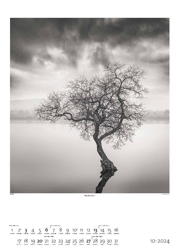 Black & White 2024 - Bildkalender 50x70 cm - Wandkalender XL - schwarz-weiß - Kunst - Hochformat - Palazzi: Fine Art Photography