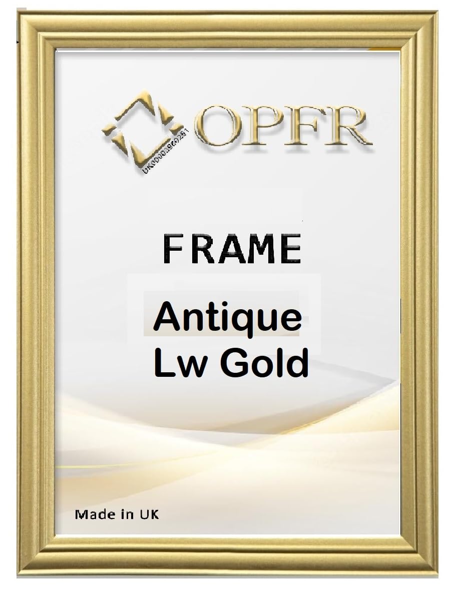Lw Gold A1,A2,A3,A4,A5 Antique Picture Poster Frame More Size Available (Gold, 24x18 Inch, Framed)